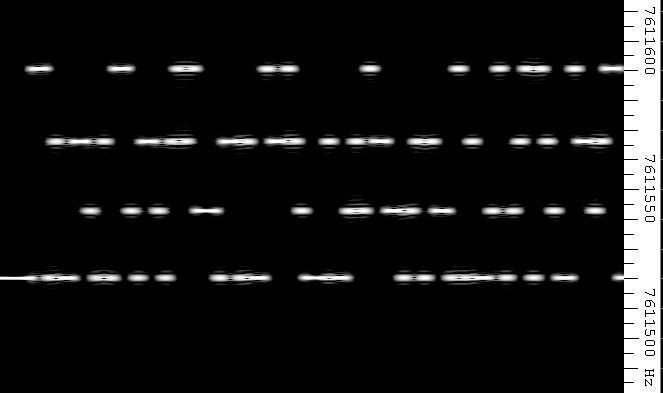modulwspr.jpg