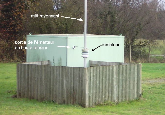 pnt3.jpg